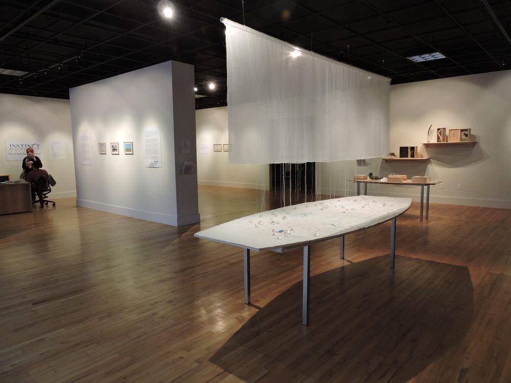 Instinct/Extinct: The Great Pacific Flyway installed in a brick-walled gallery, a long white table running beneath a large pale panel suspended overhead