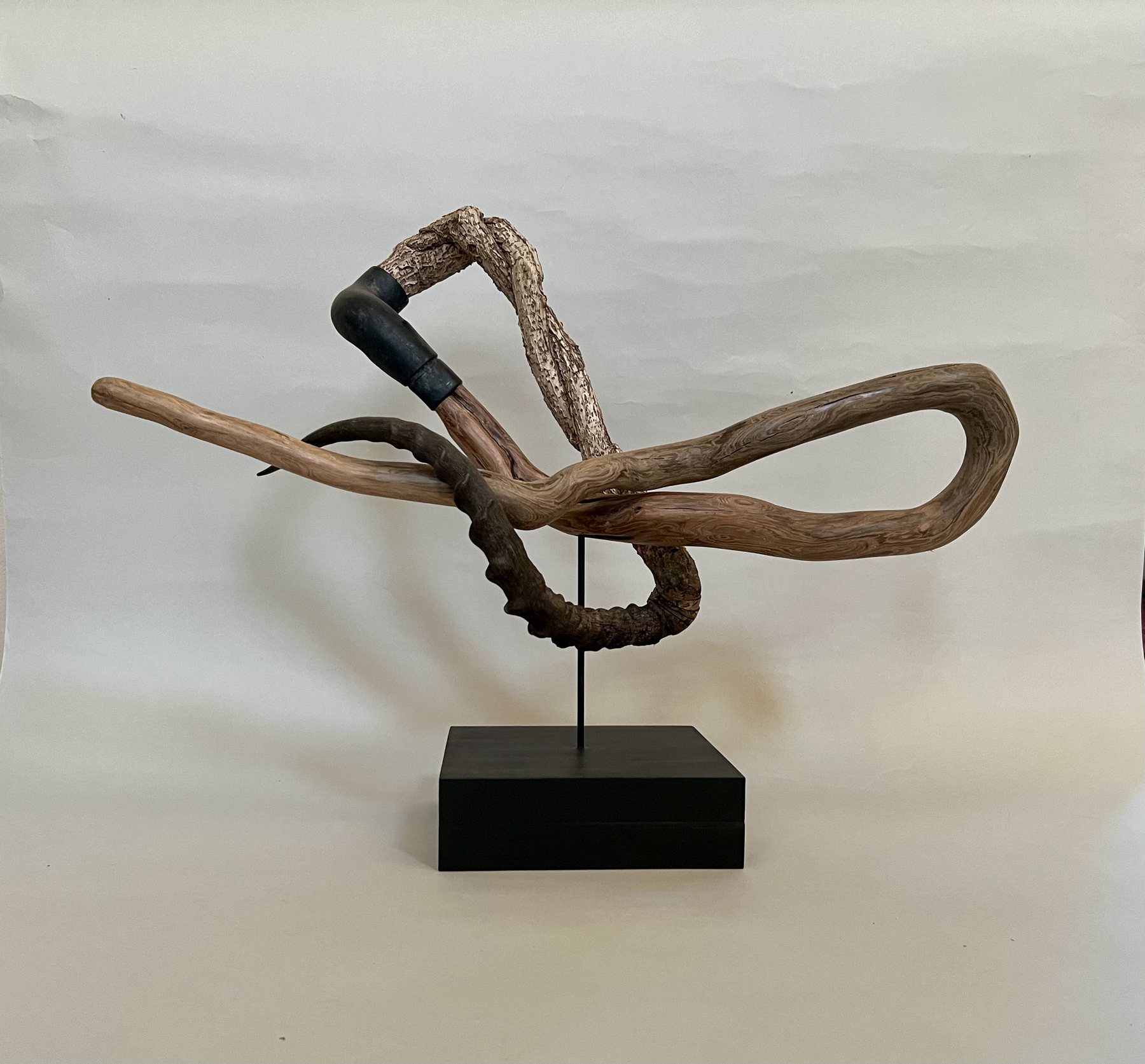 Kongoni, a dark curving horn joined to a twisting length of found wood on a black plinth