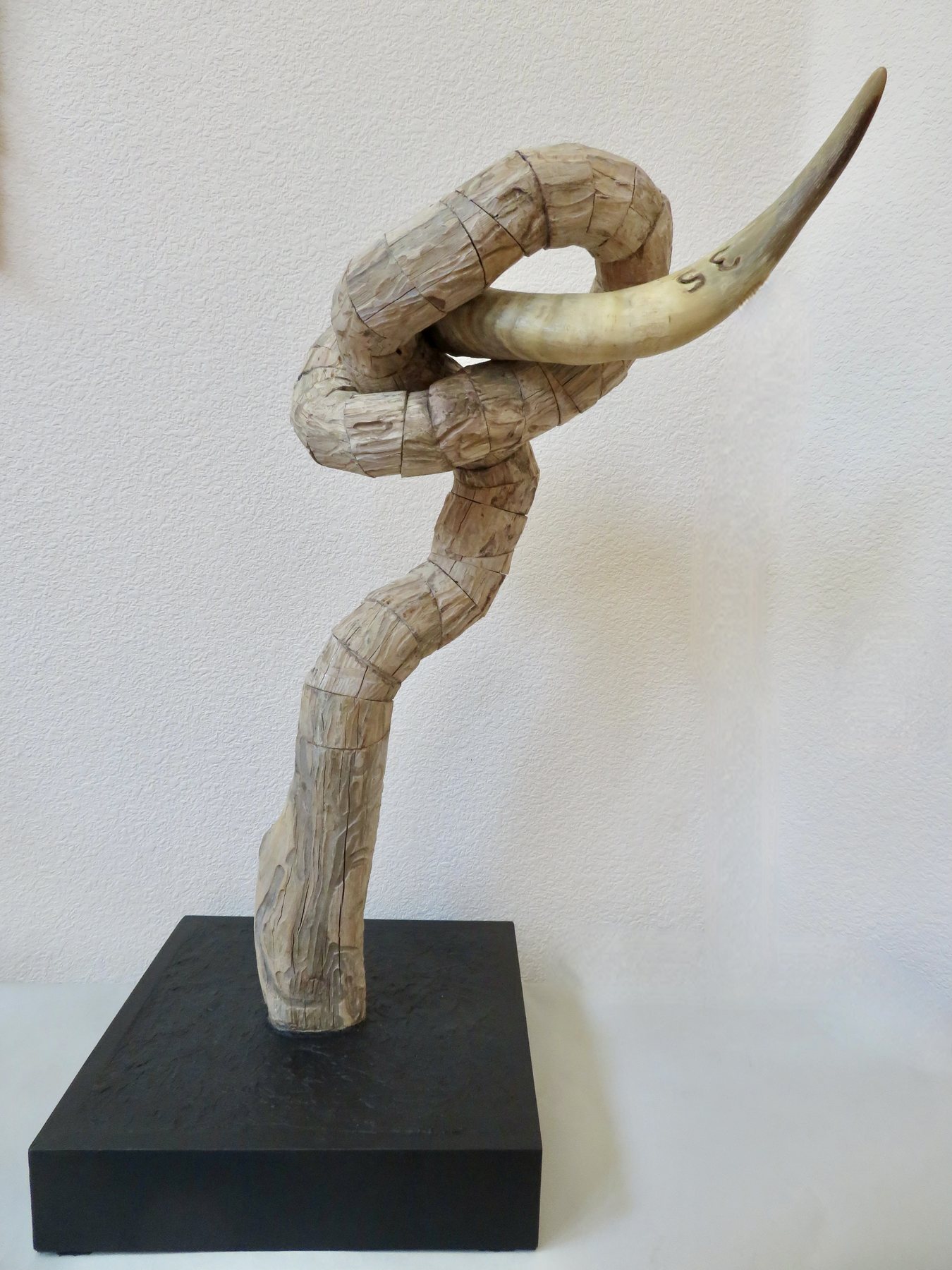 Old No. 35, a seventy-year-old steer horn with its ranch number joined to altered eucalyptus