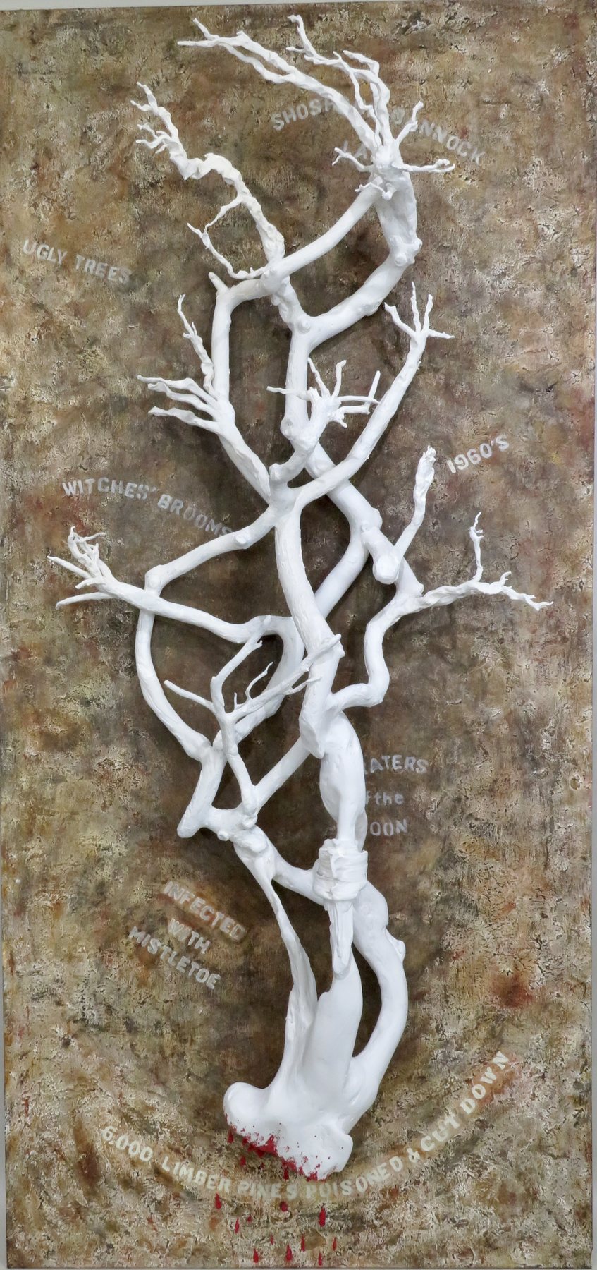 Too Ugly to Live, Sierra tree roots and Mendocino driftwood on painted wood, six feet tall