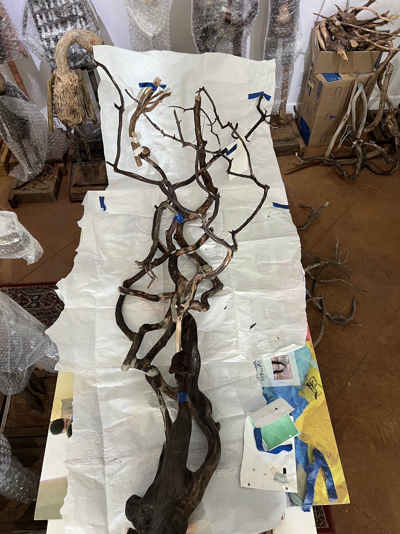 A large raw root form spread out on a drop cloth in the studio, waiting to be worked