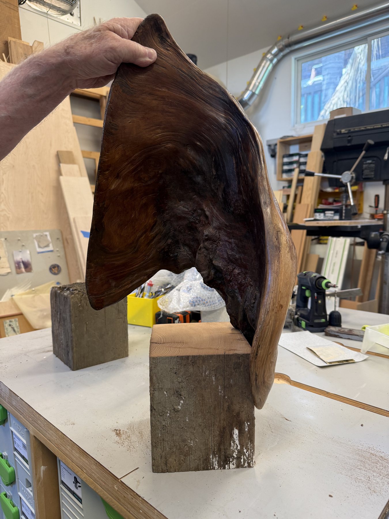 A hand holding a dark polished piece of driftwood in the workshop, tools on the wall behind
