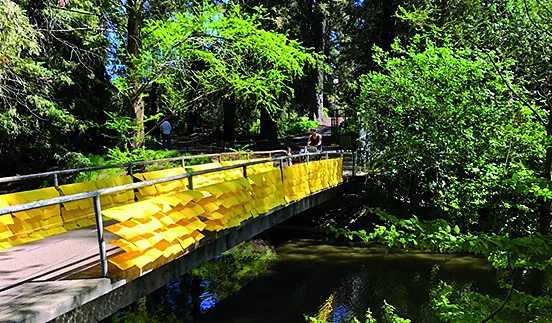 Reflections Bridge, Edward Whelan