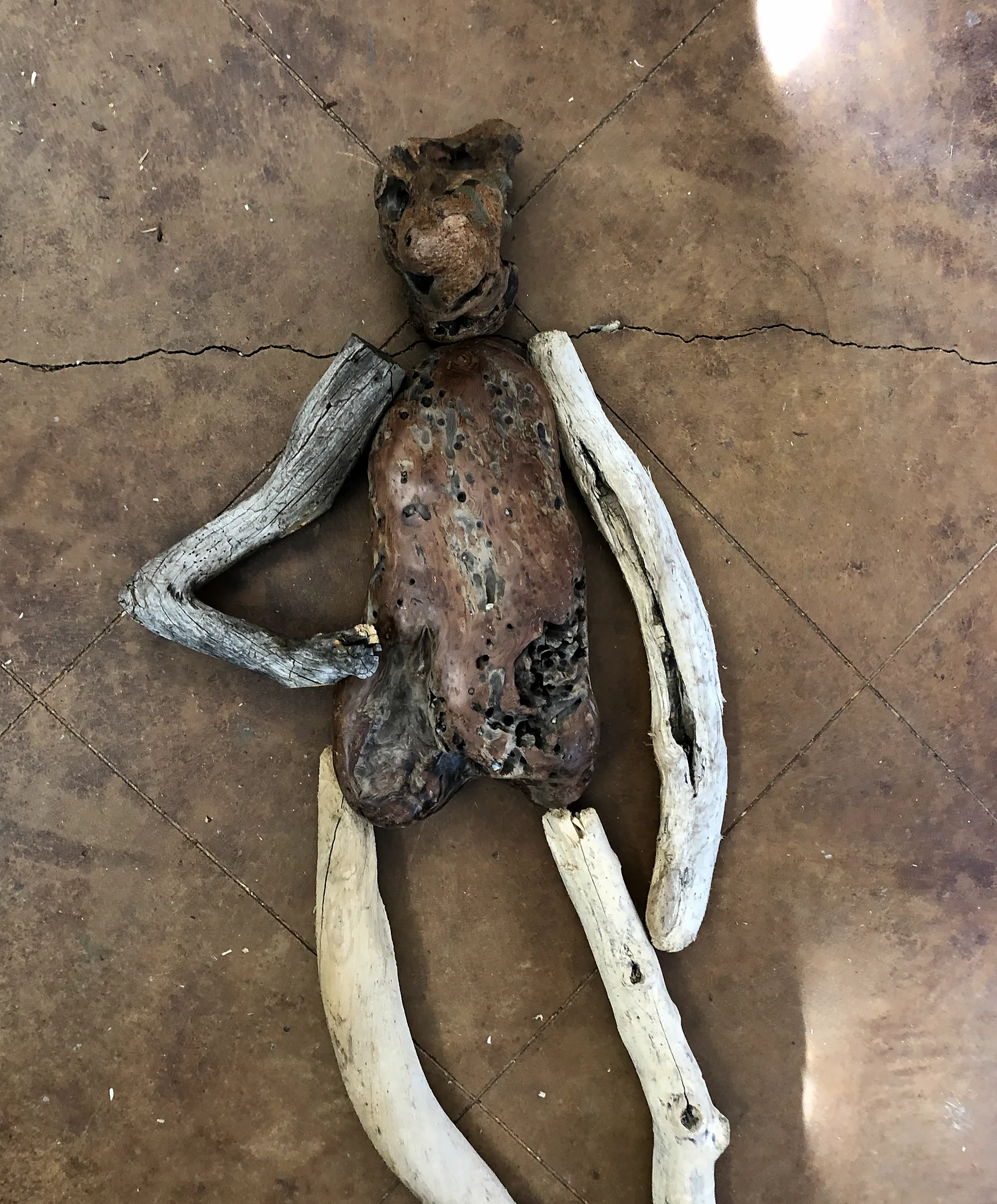 Driftwood limbs