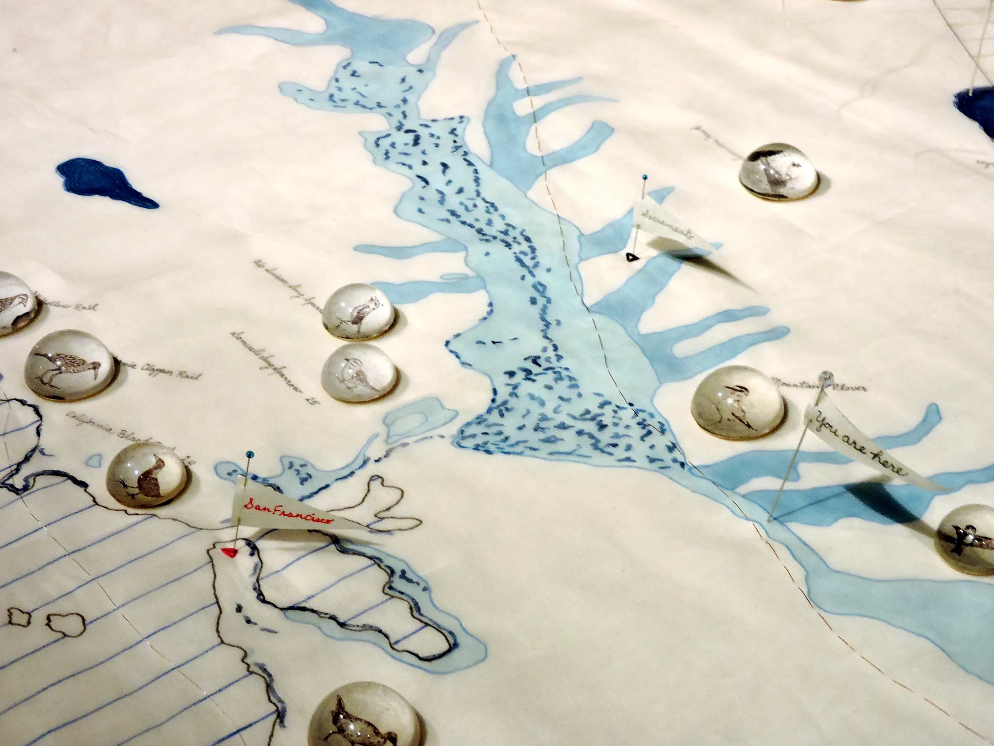 Rivers and wetlands of the Flyway, drawn by hand