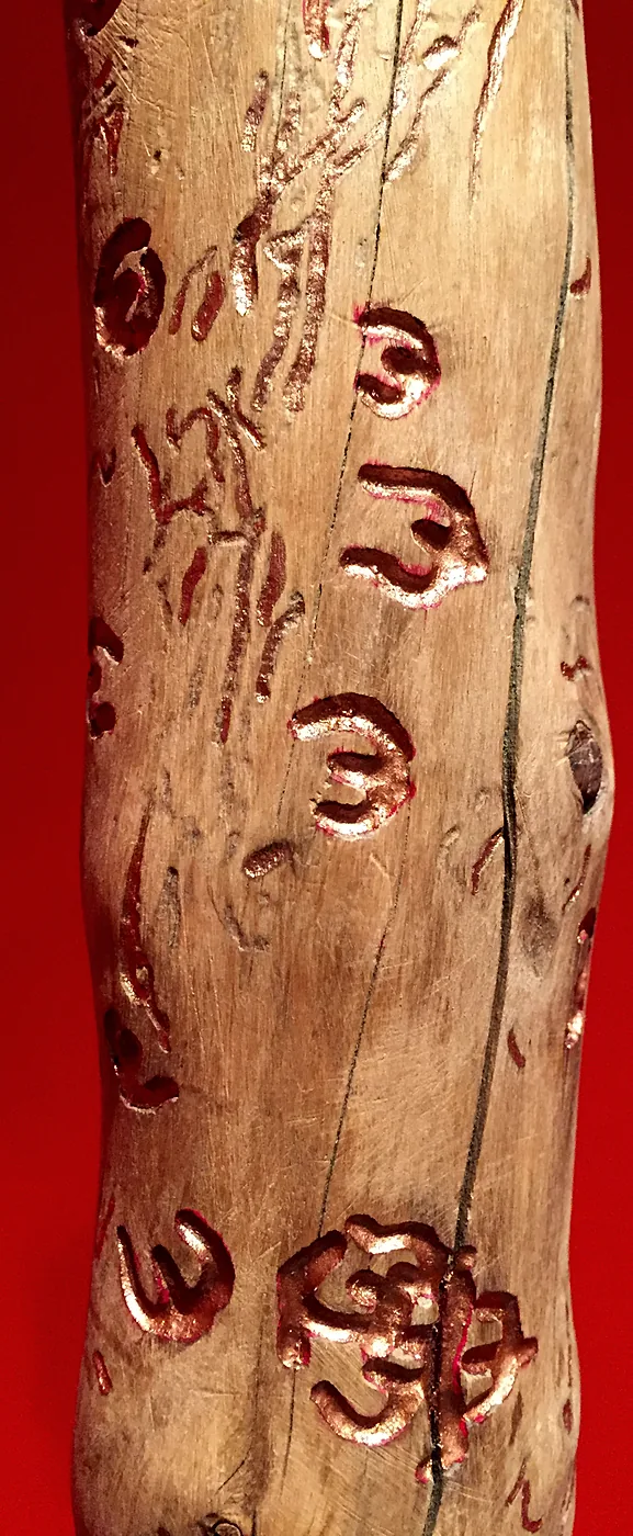 Totem 3, galleries cut by bark beetle larvae