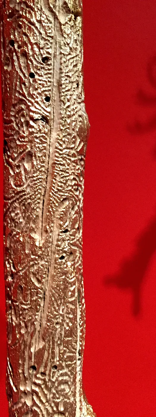 Totem 2, galleries cut by bark beetle larvae