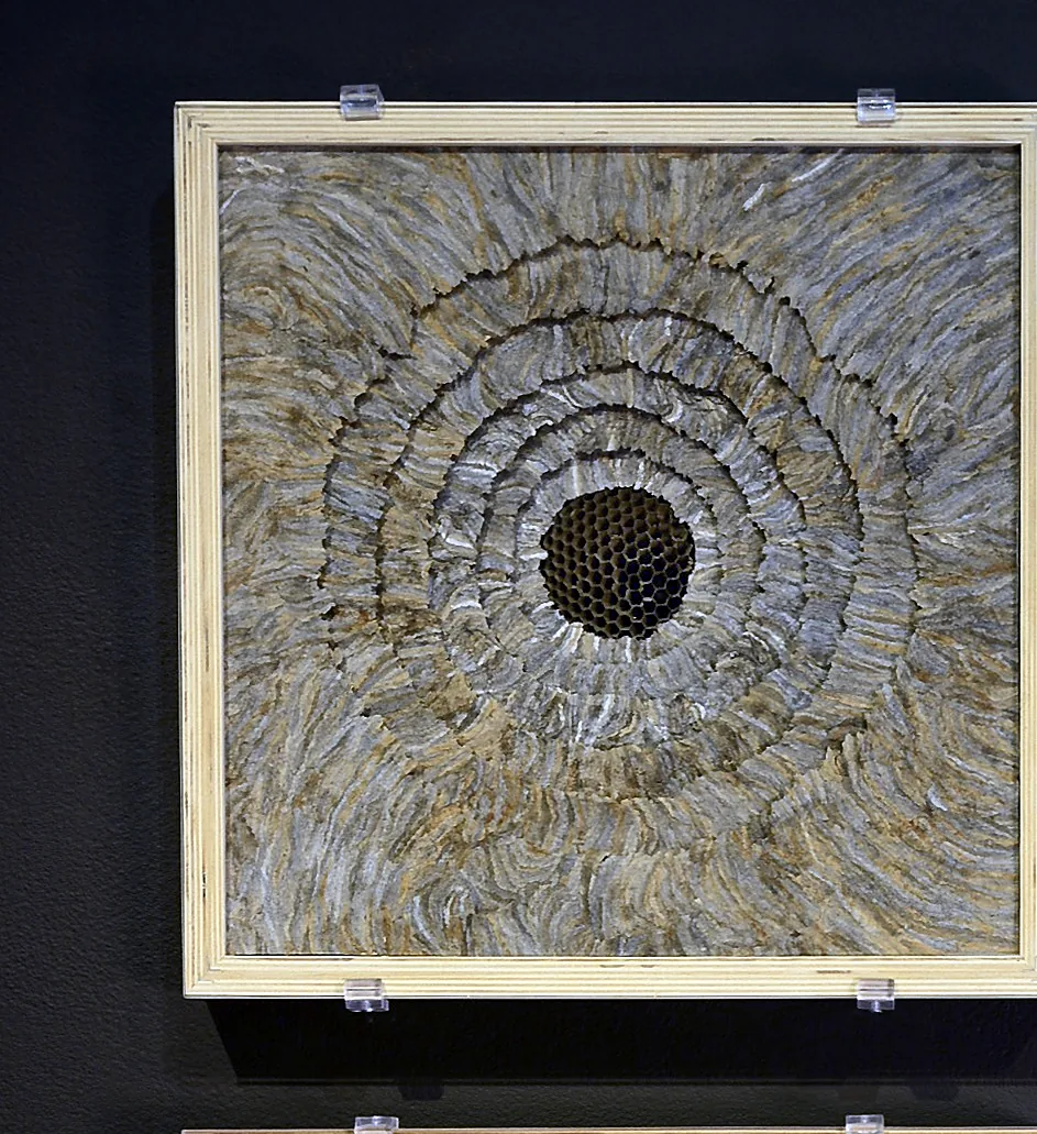 The first panel