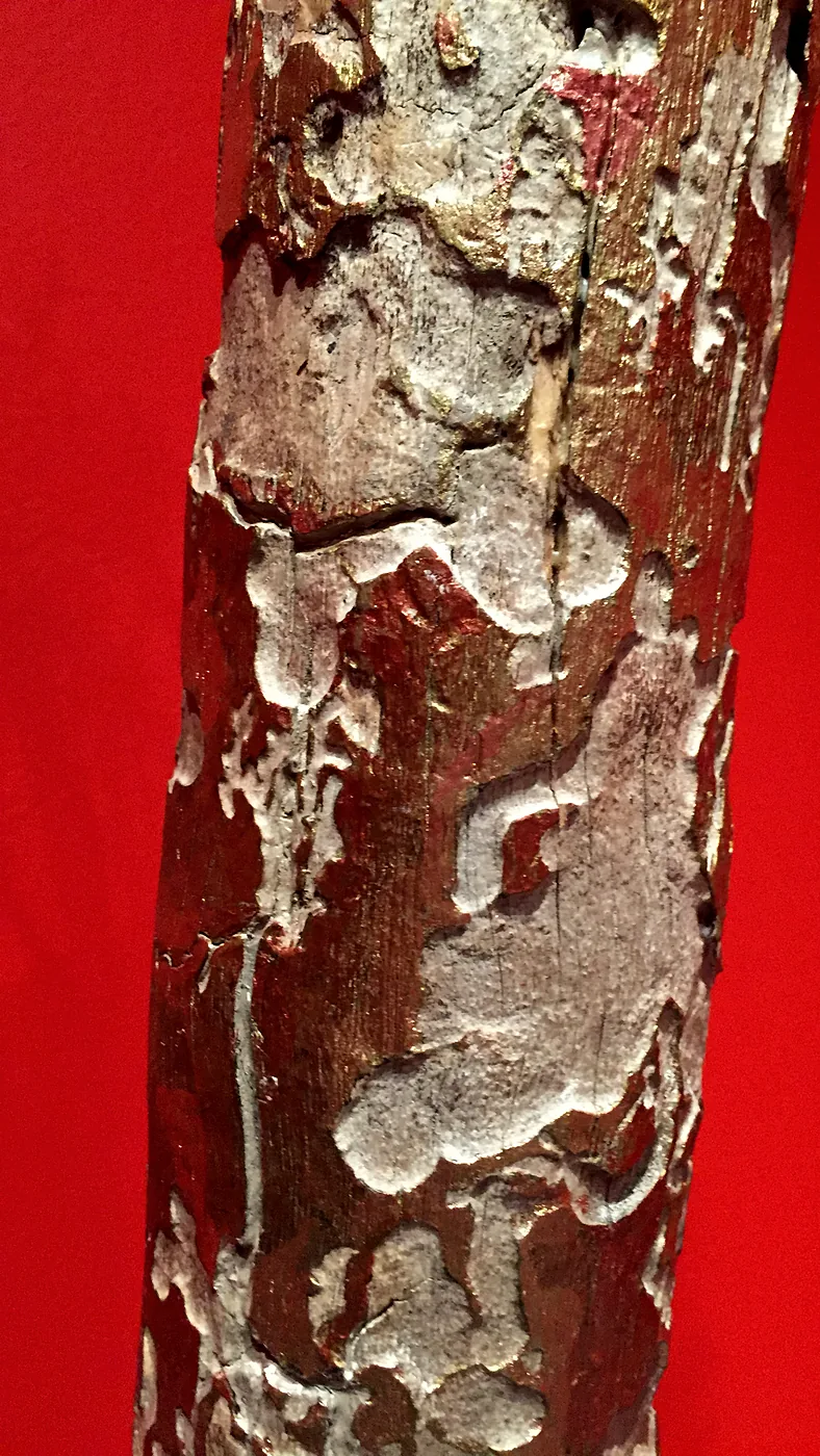 Totem 4, galleries cut by bark beetle larvae