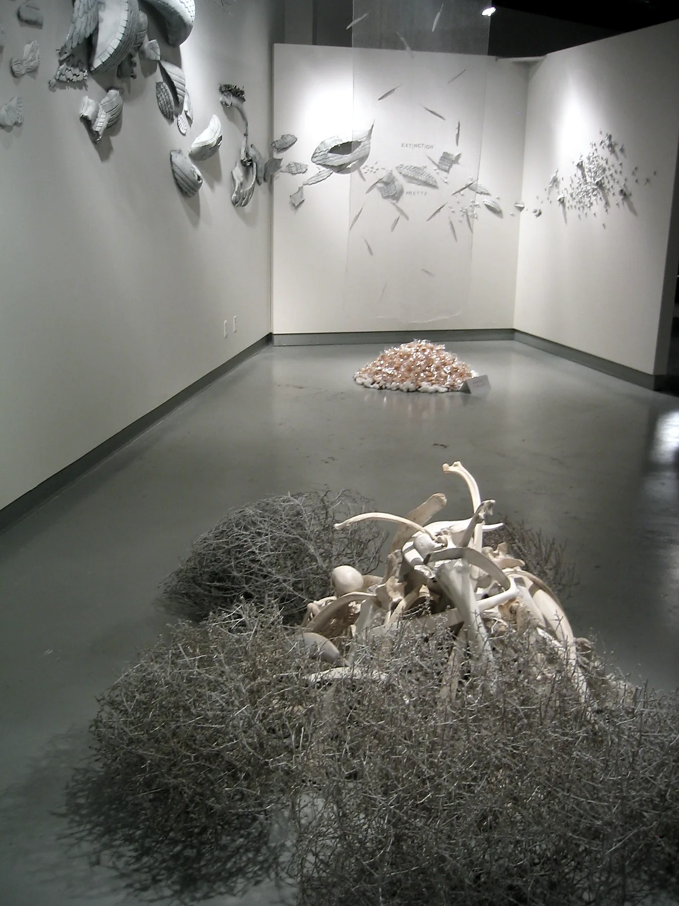 Tumbleweeds and bones on the gallery floor