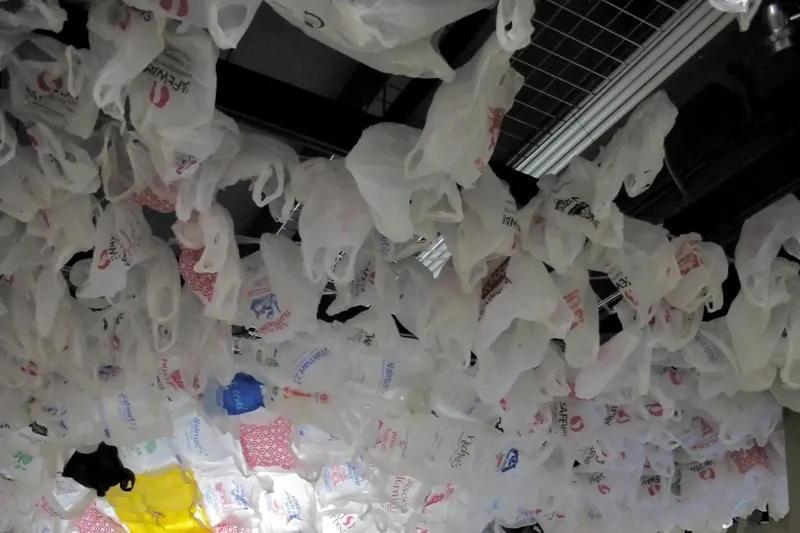 Plastic bags hanging from the ceiling