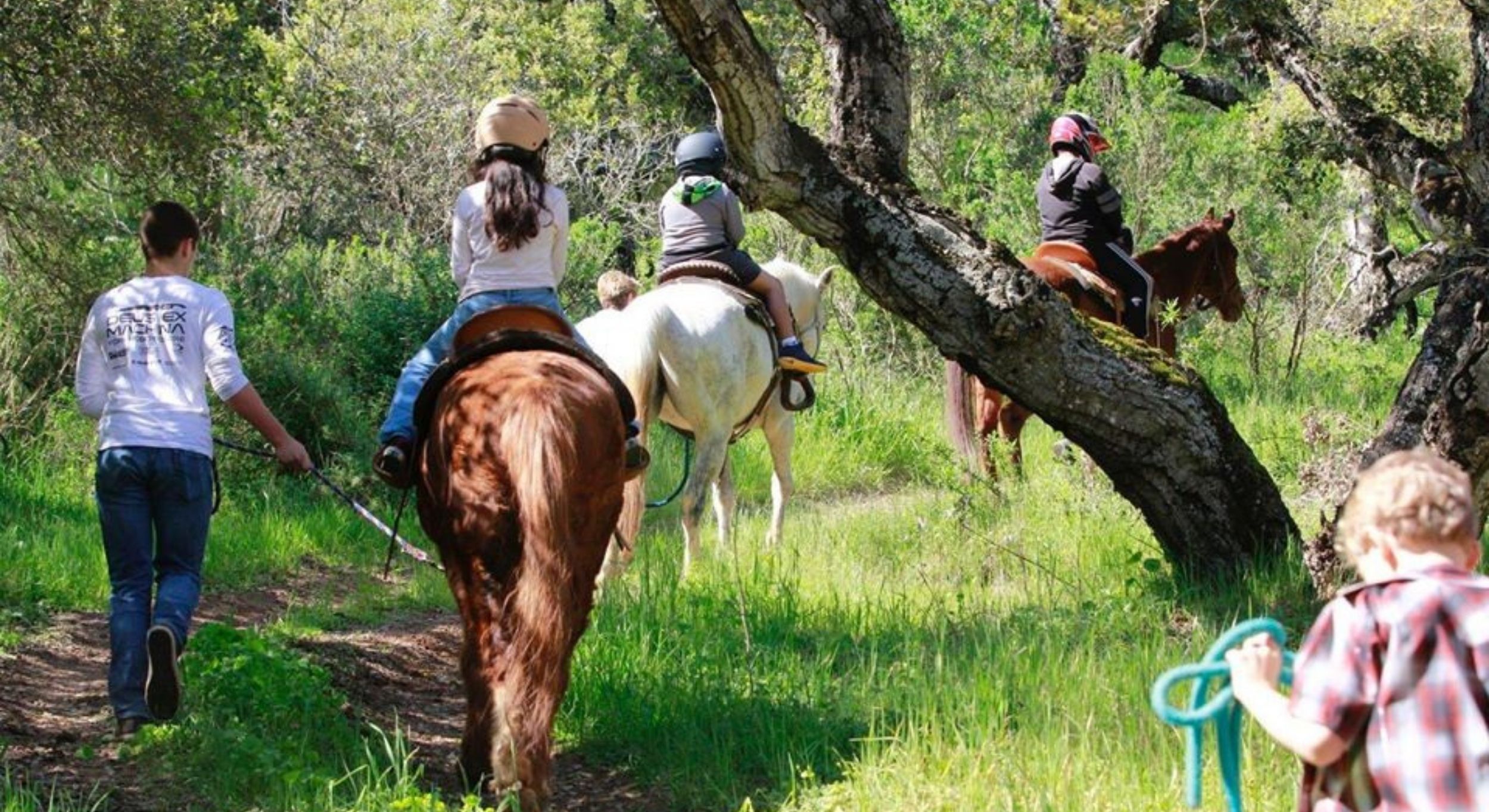 Wonder Wood Ranch Awarded $150,000 Youth Community Access Grant