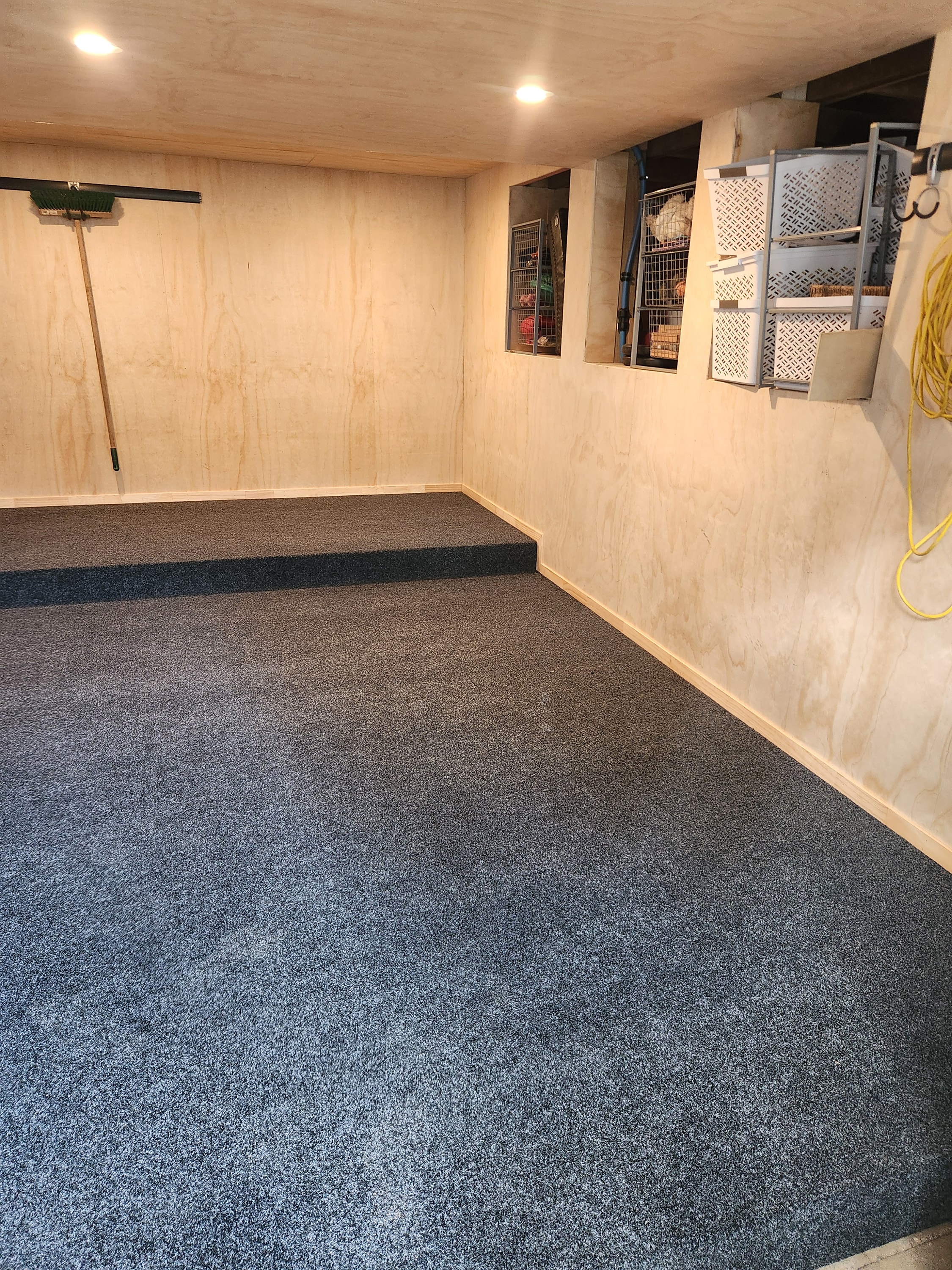 Under-house room converted into a finished, carpeted living space