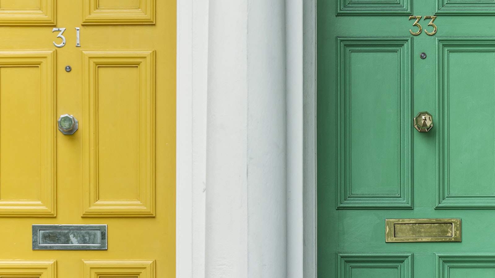 Webflow or WordPress: which is right for a small business?