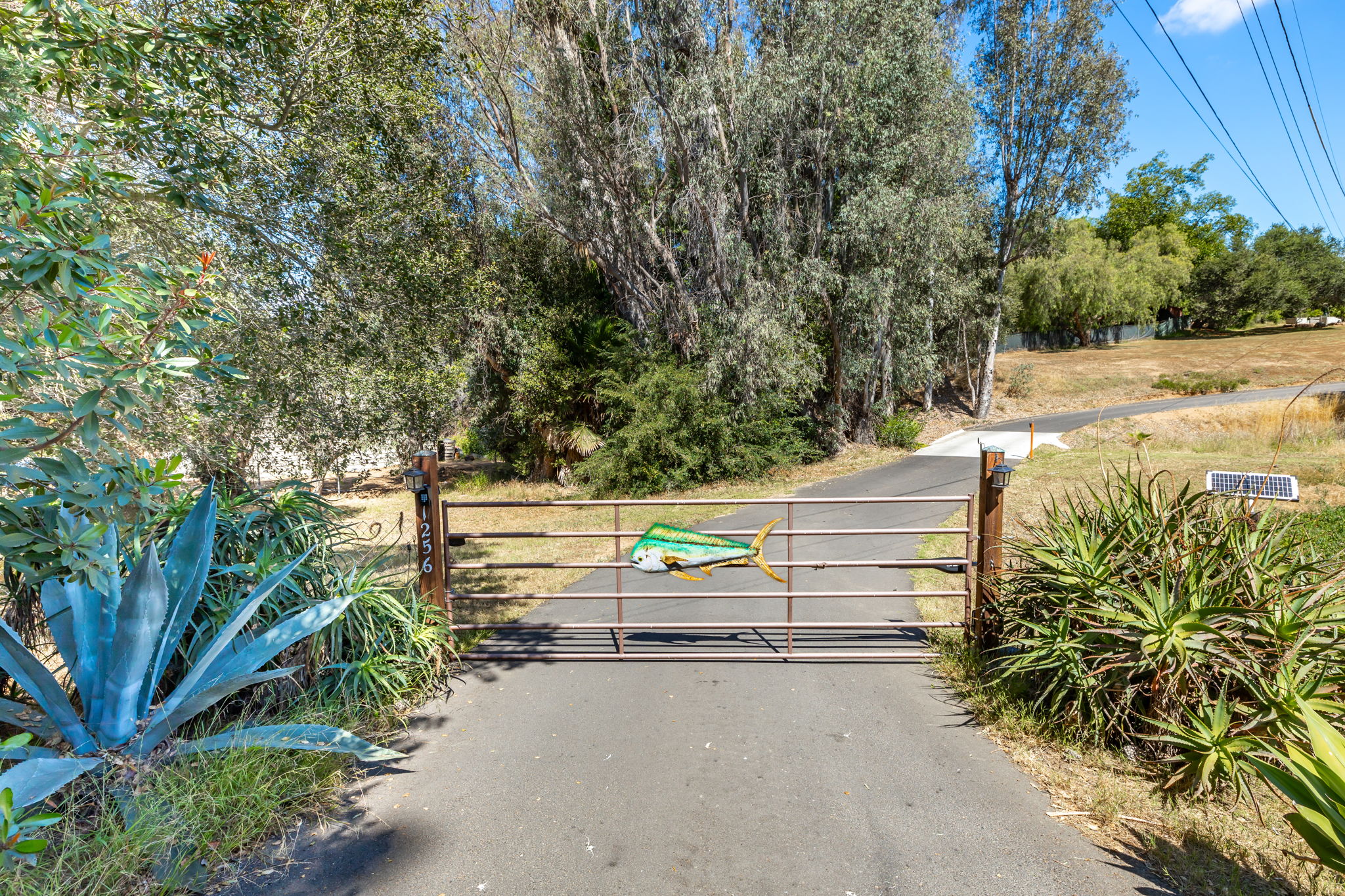1256 E Fallbrook St, Fallbrook