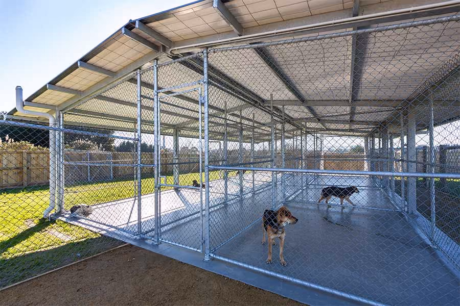 Massey Canine Unit
