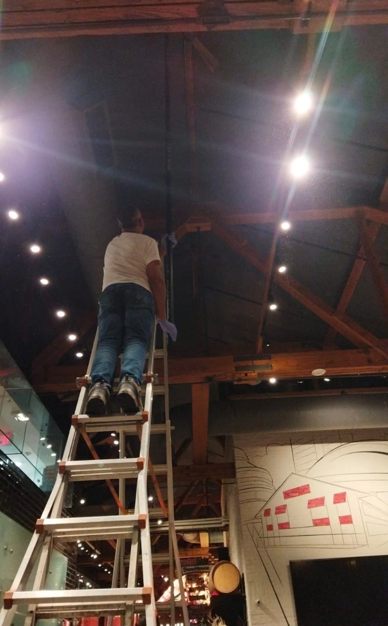 Amsterdam Brewery high-level dusting project