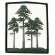 image décorative, laisser le champ alt vide dans Webflow (le texte adjacent porte déjà l'information). Si elle est utilisée seule, sans libellé : « Forêt de pins alignés, protection des milieux naturels »
