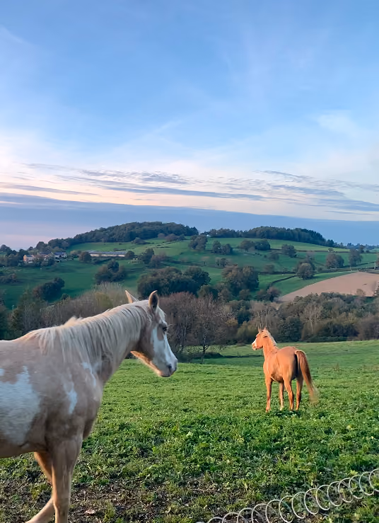 Collines boisées de l'arrière-pays descendant vers la mer Méditerranée, paysage à préserver