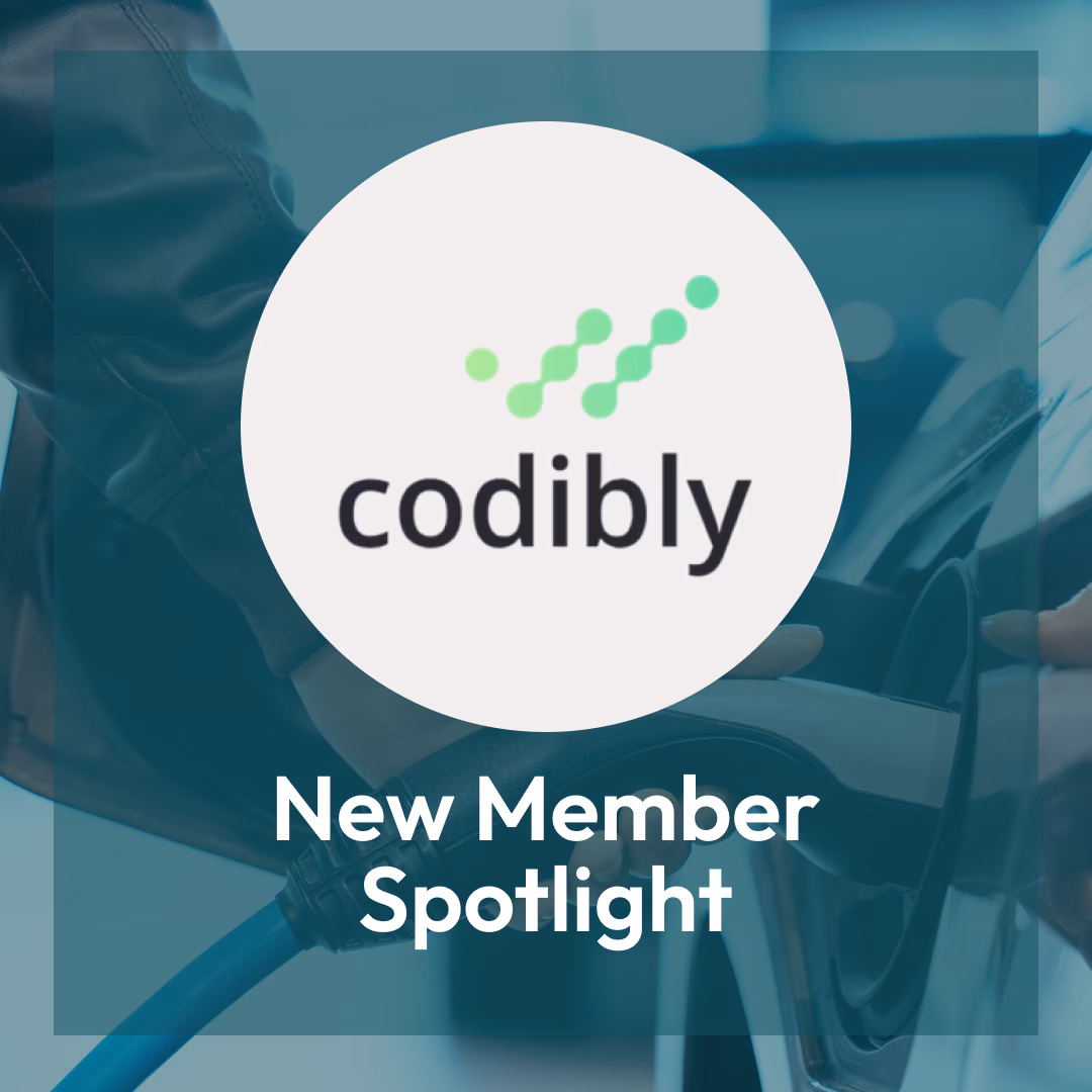 image showing Codibly logo on blue background