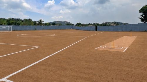 Illustrative scene of a group playing cricket outdoors