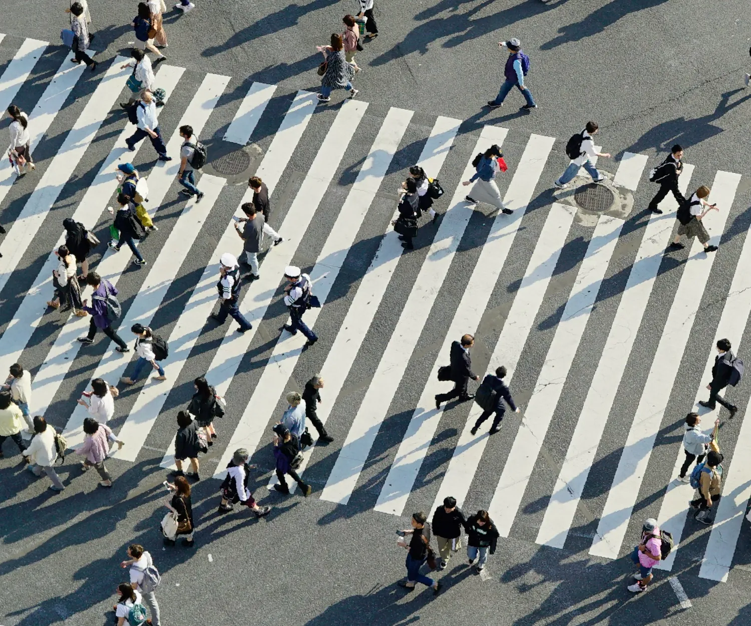 Aerial view of many people walking across a wide, striped pedestrian crosswalk on a sunny day, casting long shadows on the asphalt.