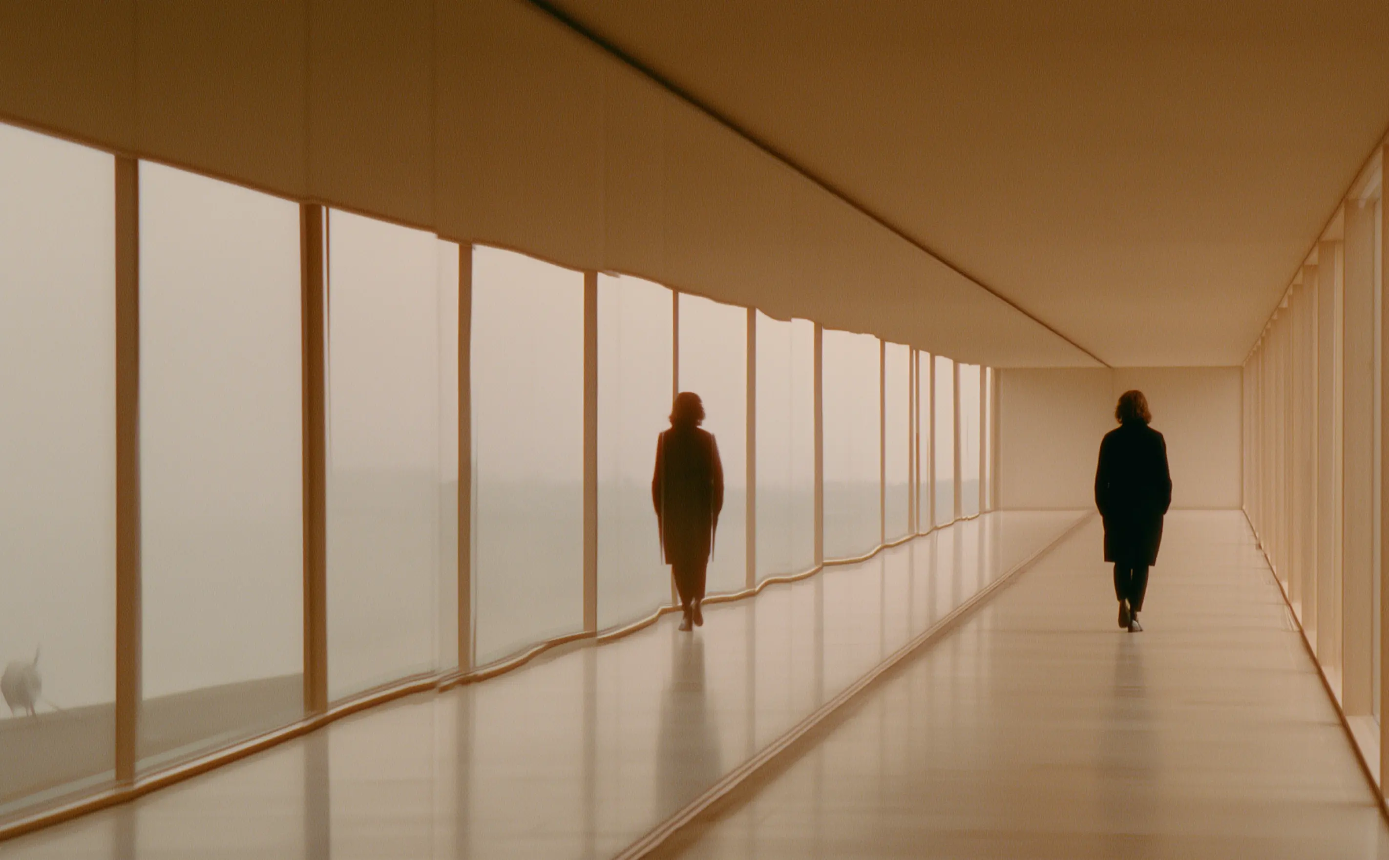 Person walking through a sunlit corridor, with their reflection visible in the glass.