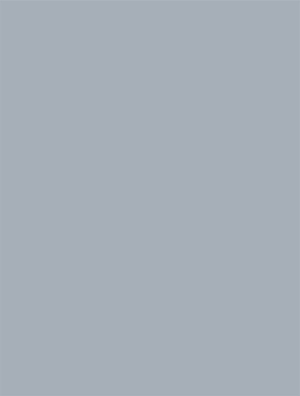 Plain light gray textured background.
