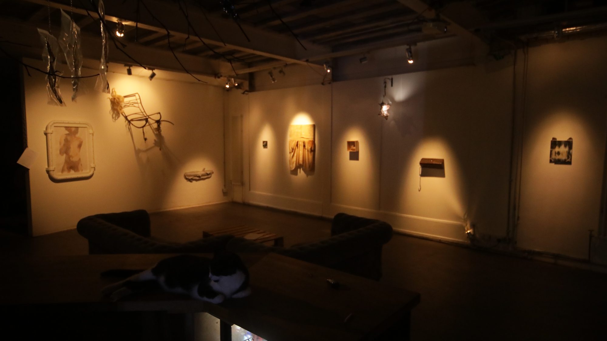 An exhibition on the cafe walls