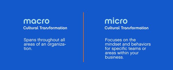 Macro-and-Micro-Cultural-Transformation