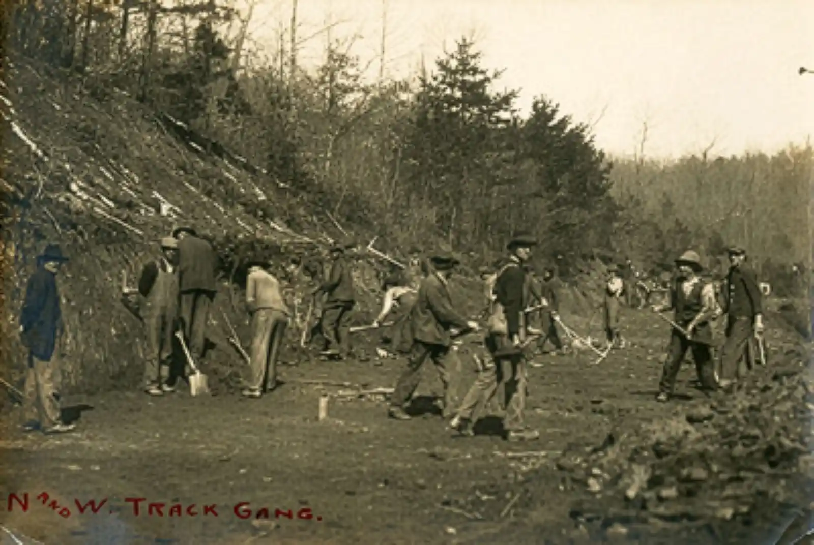 Black-and-white historic photo of a group of men digging and working on a dirt road or track in a rural area surrounded by trees and brush.