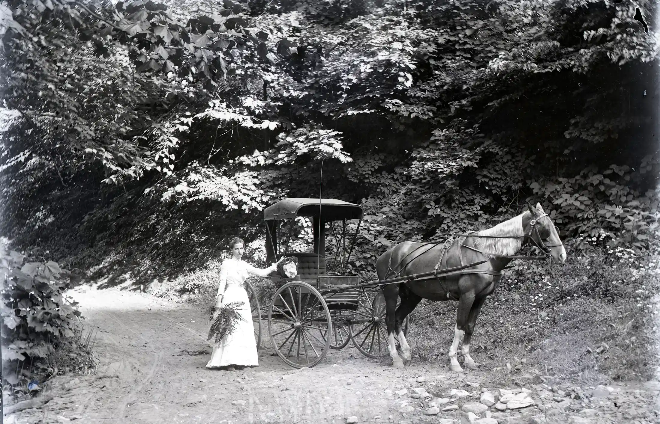 Black and white photo of a woman in a long white dress standing beside a horse-drawn carriage on a dirt path lined with dense foliage.