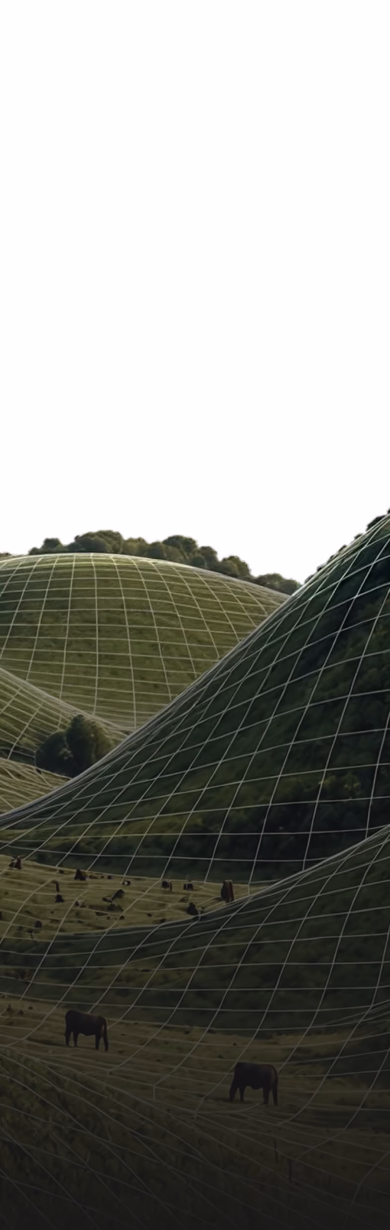 Green rolling hills covered with a transparent grid pattern resembling a 3D modeling mesh, with a few trees and grazing horses scattered across the landscape.