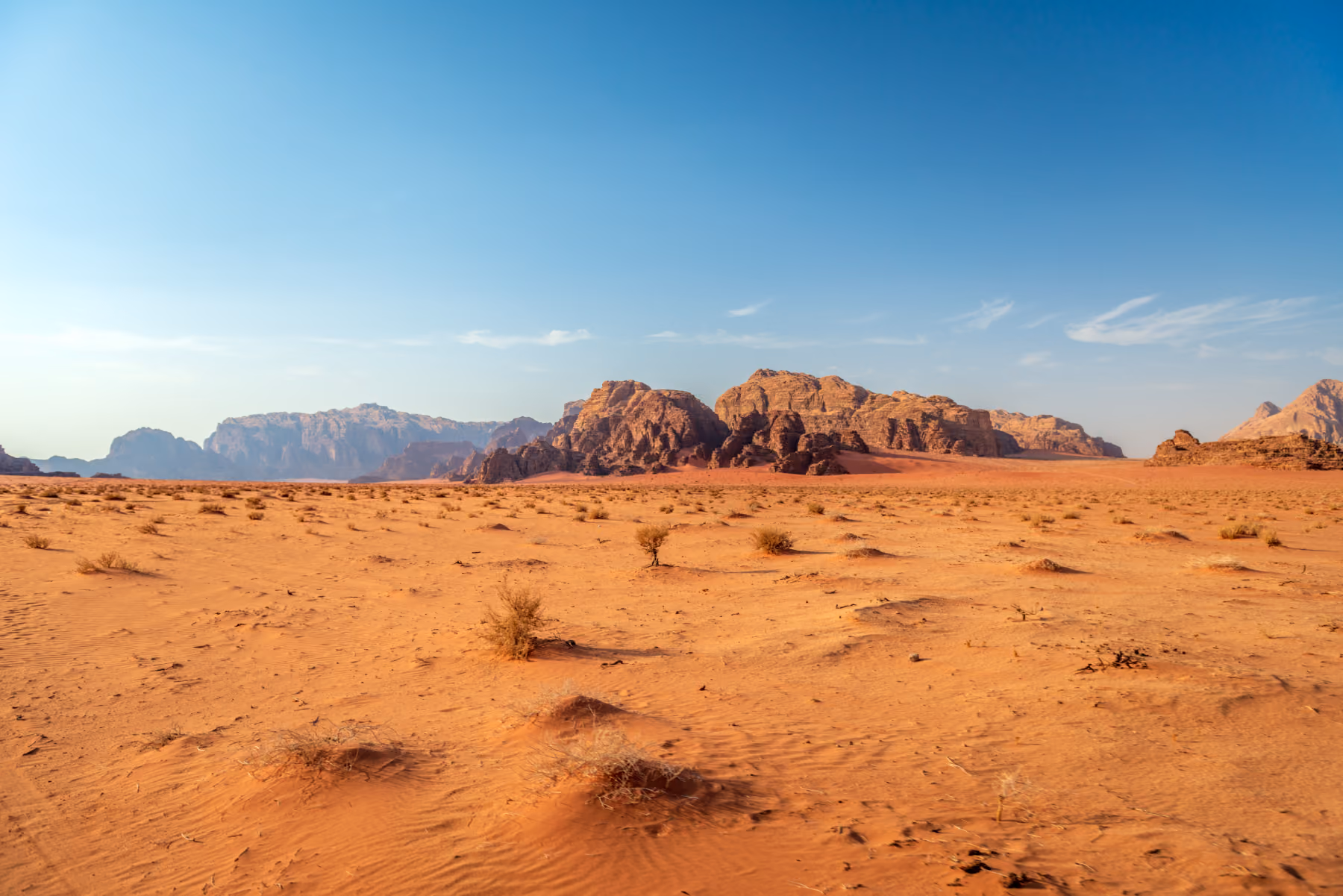 Expansive desert landscape with reddish-orange sand, sparse dry shrubs, and a distant range of rocky mountains under a clear blue sky.
