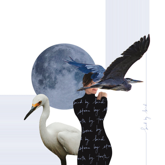 Bird by Bird by Suzanna Choffel — album cover, vinyl pressed at Gold Rush Vinyl in Austin, Texas