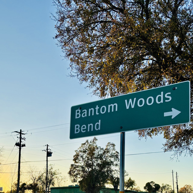 Bend by Bantom Woods — album cover, vinyl pressed at Gold Rush Vinyl in Austin, Texas