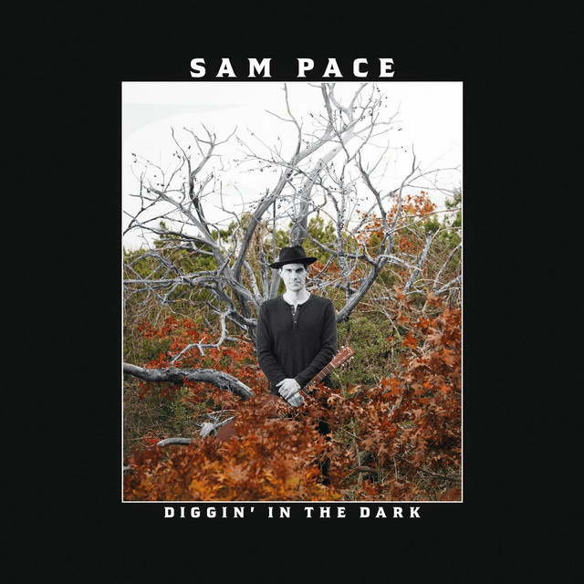 Diggin' in the Dark by Sam Pace — album cover, vinyl pressed at Gold Rush Vinyl in Austin, Texas