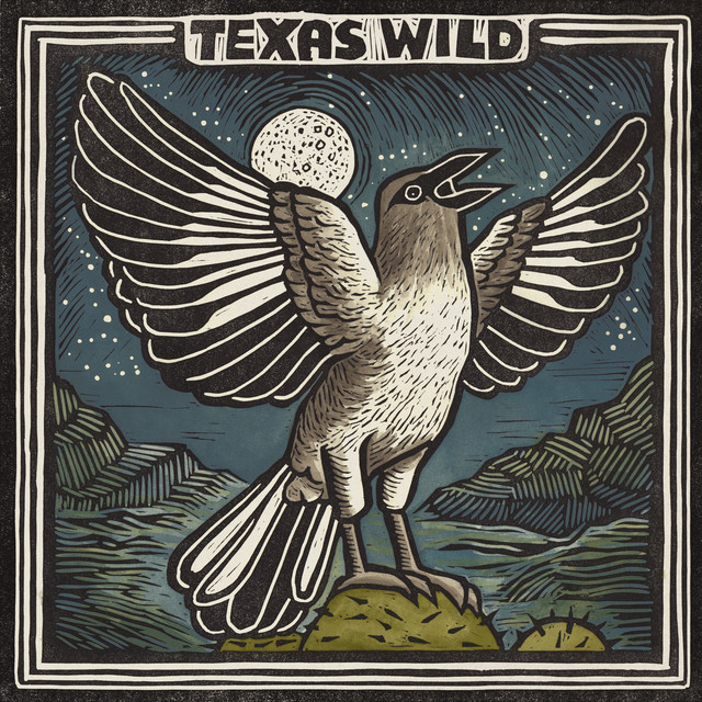 Texas Wild by Various Artists — album cover, vinyl pressed at Gold Rush Vinyl in Austin, Texas