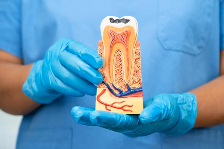 Fascinating Facts About Root Canals You Didn’t Know