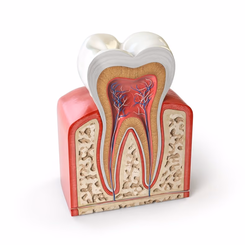 How to Keep Your Teeth Clean in This Halloween in Houston?
