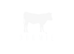 Dormie Workshop
