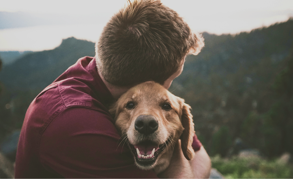Close-up of a dog and its owner, introducing our non-profit case study on building a custom digital platform and centralizing operational data.