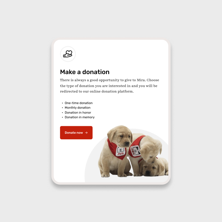 The modernized donation interface for Fondation Mira, showcasing Nurun's web redesign and user experience improvements for the non-profit.