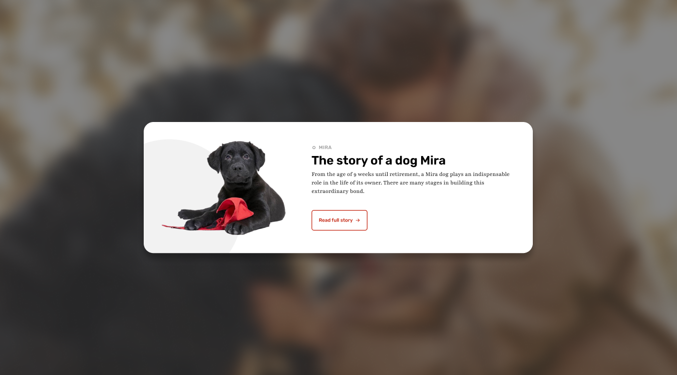 The story of a Mira dog UI component, demonstrating the human-centered web redesign and service design approach by Nurun.