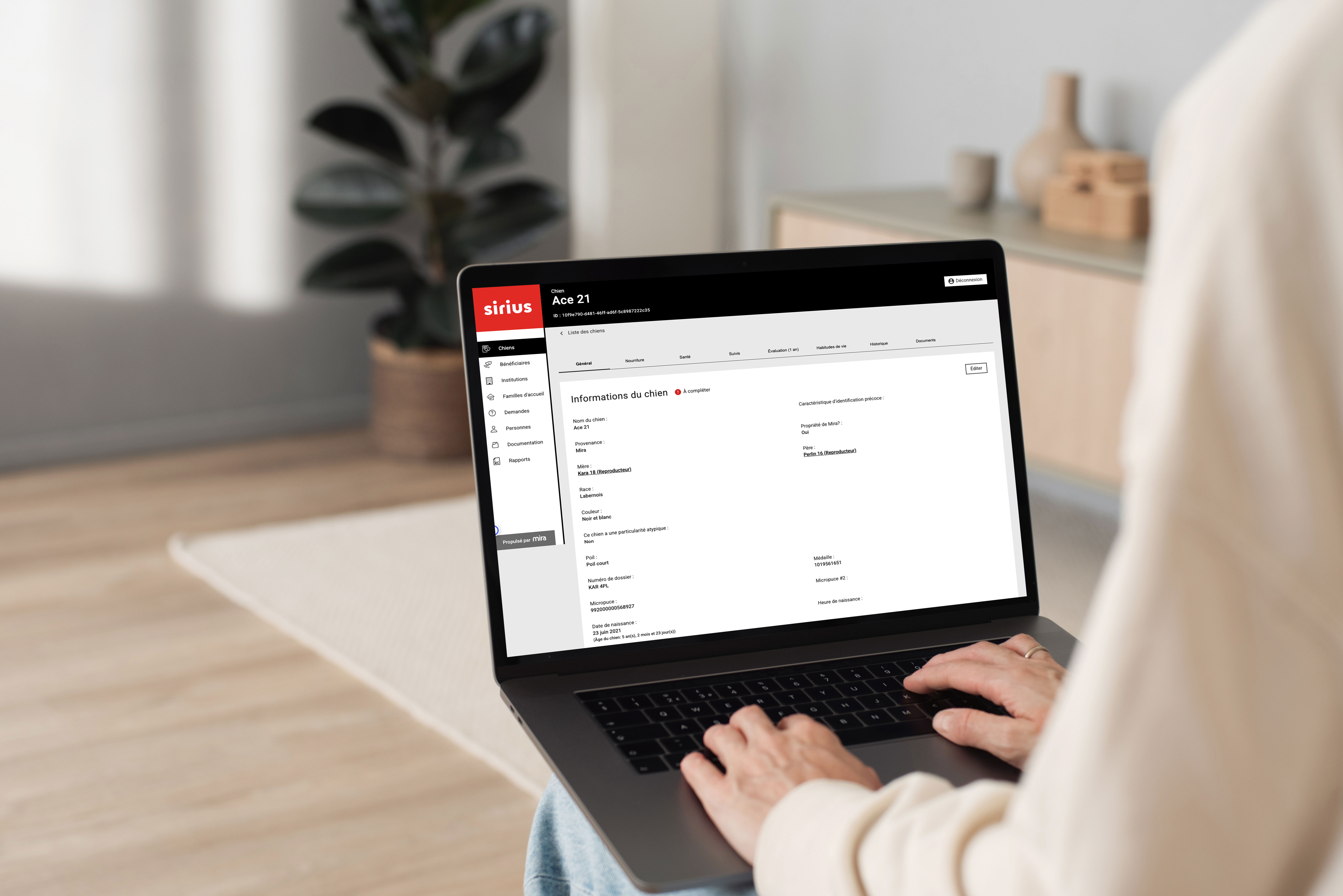 A user accessing Sirius, the custom digital platform built by Nurun to centralize operational data for Fondation Mira.