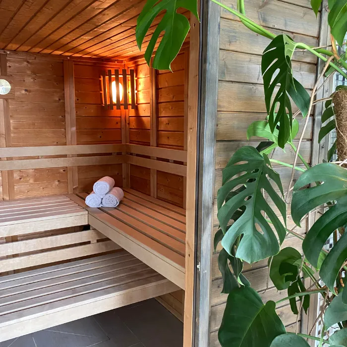 Cabine de sauna en bois avec serviettes roulées, encadrée de feuilles de monstera dans l'espace bien-être de l'Hôtel d'Alsace