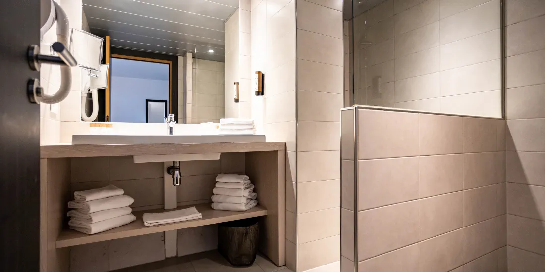 Salle de bain avec douche à l'italienne de l'Appartement Duplex à Illkirch