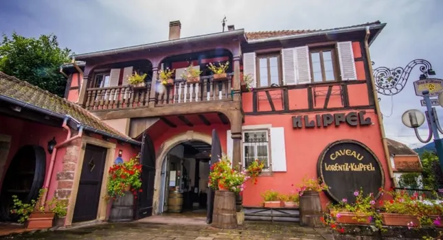 Dégustation de vins dans une cave alsacienne près de Strasbourg