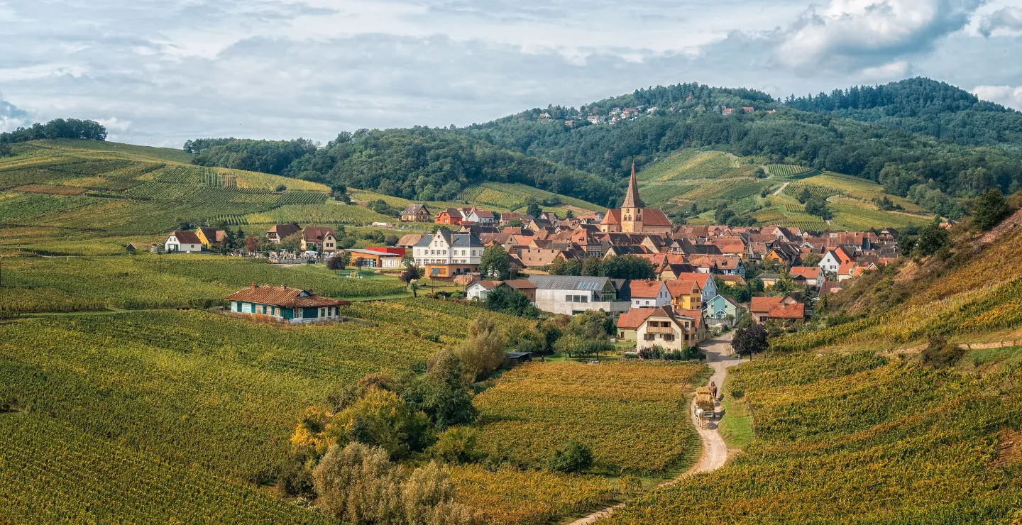 Village alsacien niché dans les vignes, à découvrir lors d'un séjour de groupe à l'hôtel près de Strasbourg