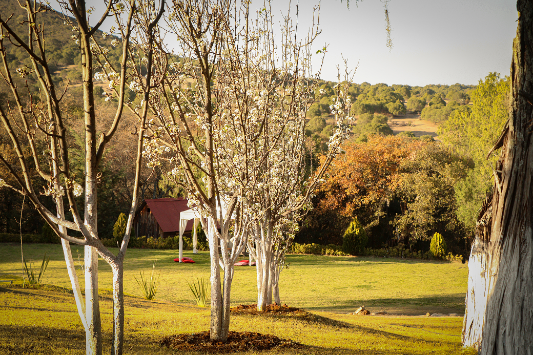 Jardín